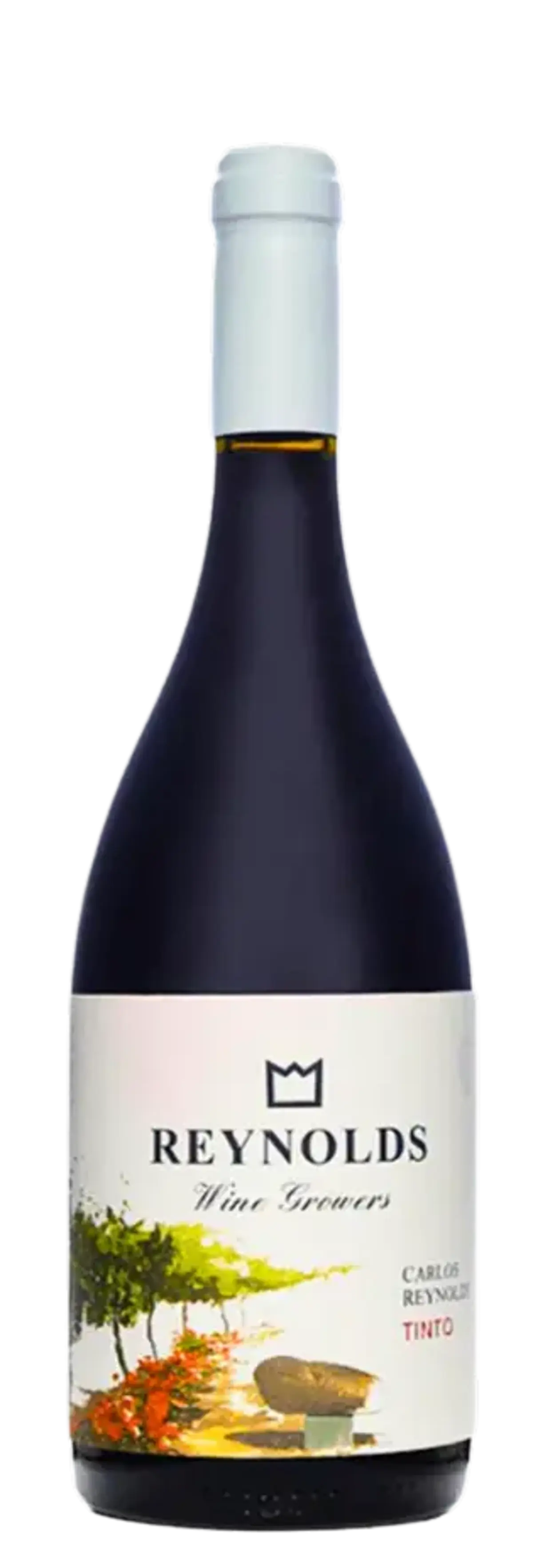 CARLOS REYNOLDS TINTO