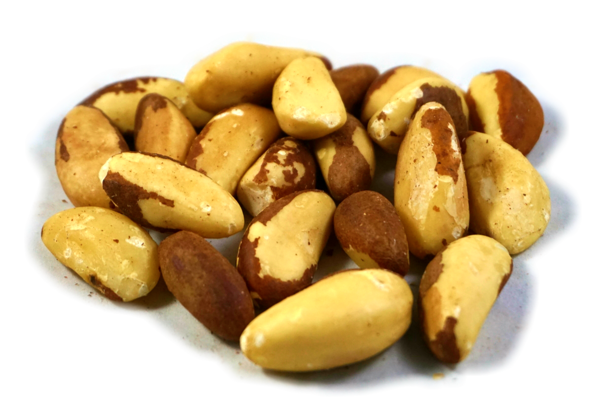 CASTANHA DO BRASIL