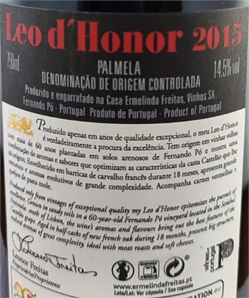 ermelinda-freitas-leo-dhonor-1.jpg