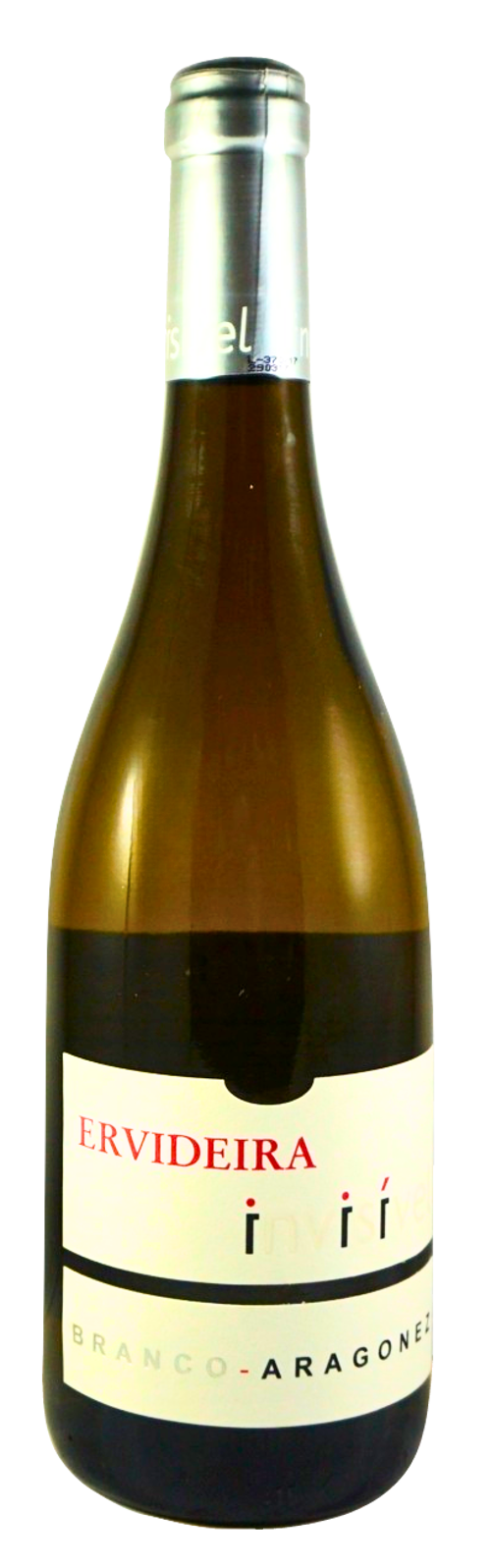 ERVIDEIRA INVISIVEL 2024 WHITE