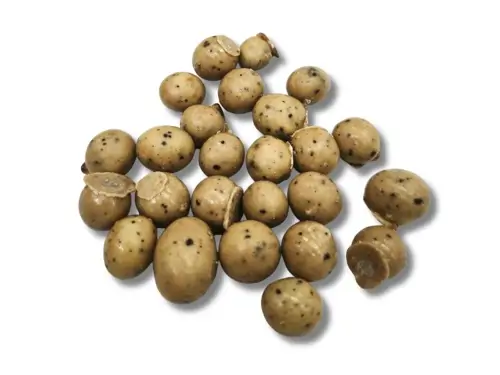 GRÃO DE CAFÉ COM CAPPUCCINO