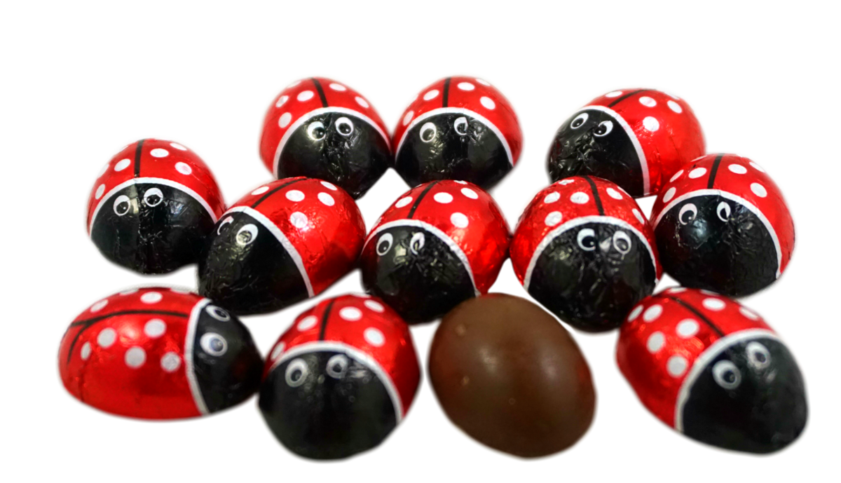 CHOCOLATE LADYBUGS 