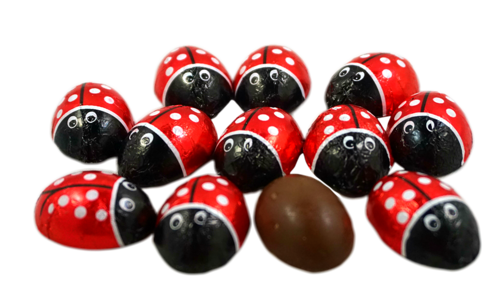 CHOCOLATE LADYBUGS 