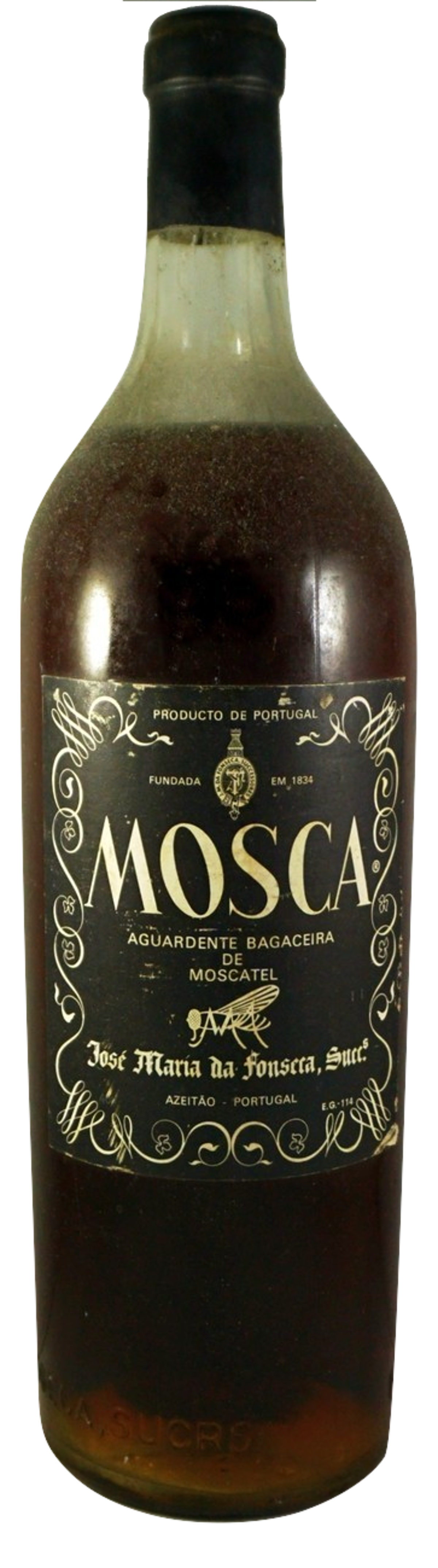 MOSCA AGUARDENTE BAGACEIRA