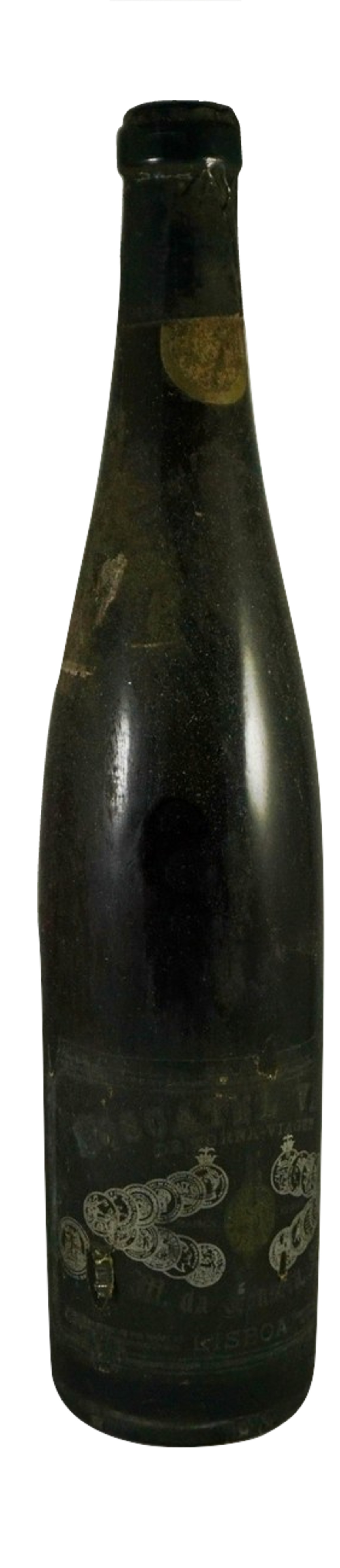 MOSCATEL TORNA VIAGEM