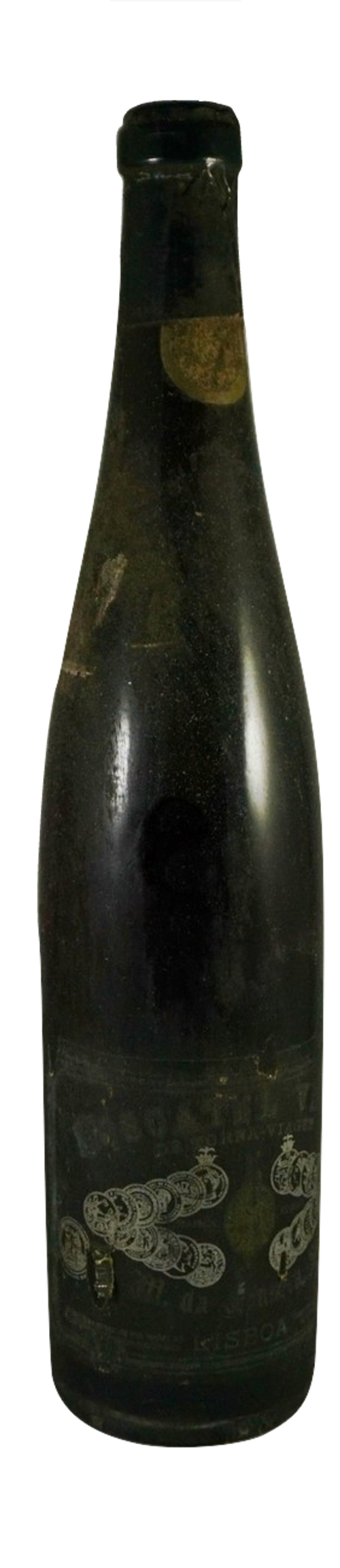 MOSCATEL TORNA VIAGEM