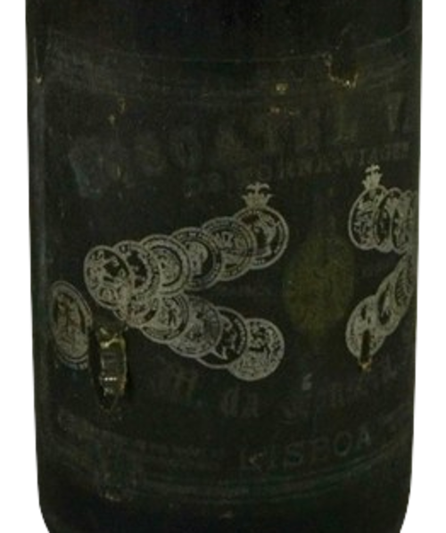 moscatel-torna-viagem-1.png