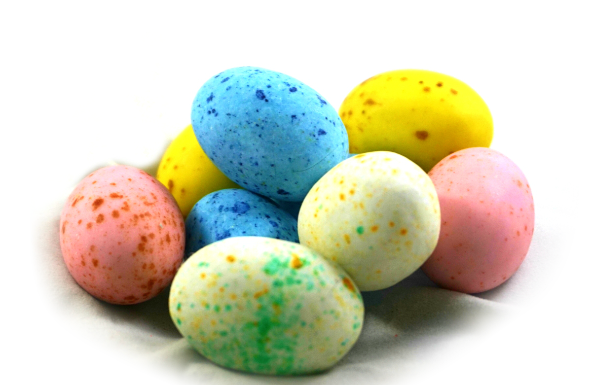 BIRDS EGGS