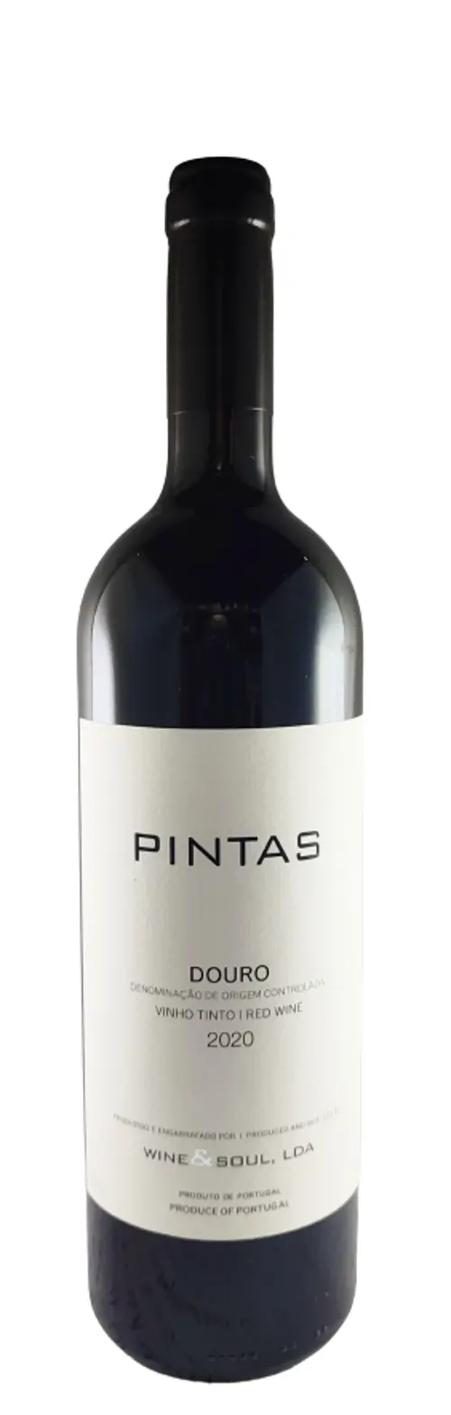 PINTAS 2020 RED