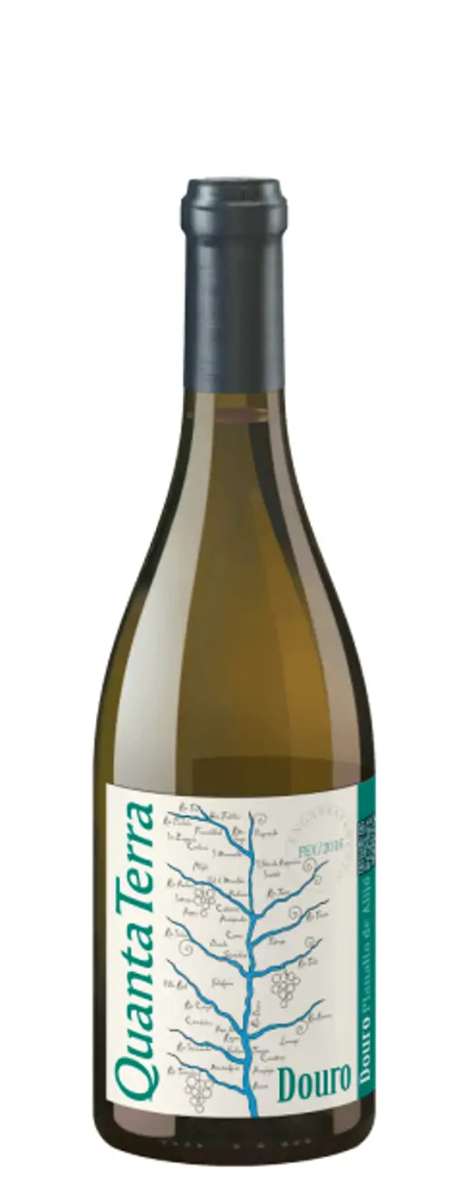 QUANTA TERRA WHITE DOC 2021