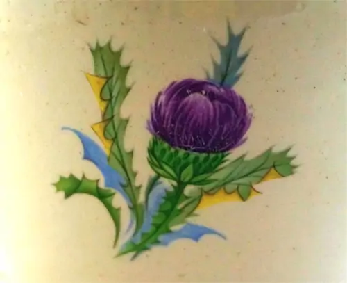 rutherford-s-passaros-porcelana-verde-1.png