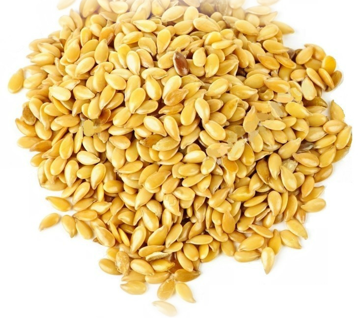 SEMENTES DE LINHAÇA DOURADA