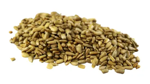 SEMENTES DE GIRASSOL