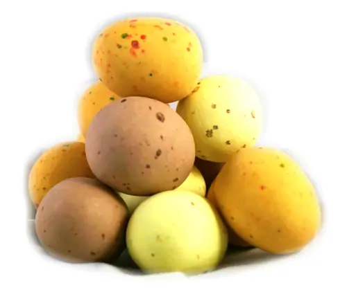 WALNUT, CAPPUCINO AND CHAMPAGNE CHOCOLATE TRUFFLES