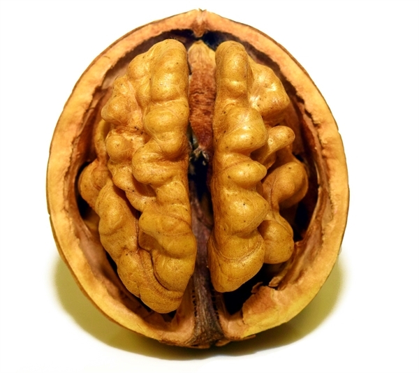 31ee9e19-4178-49b7-83bf-e889bd8e44e6.jpg