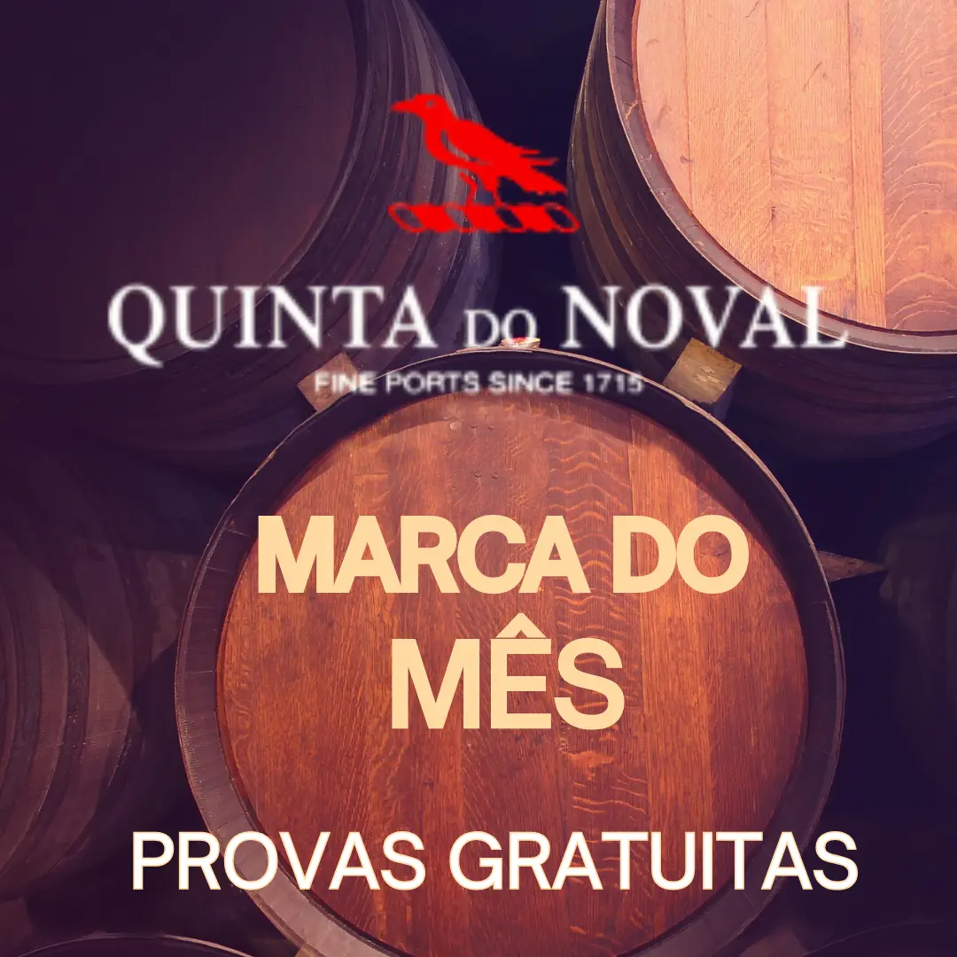noval-pt.webp