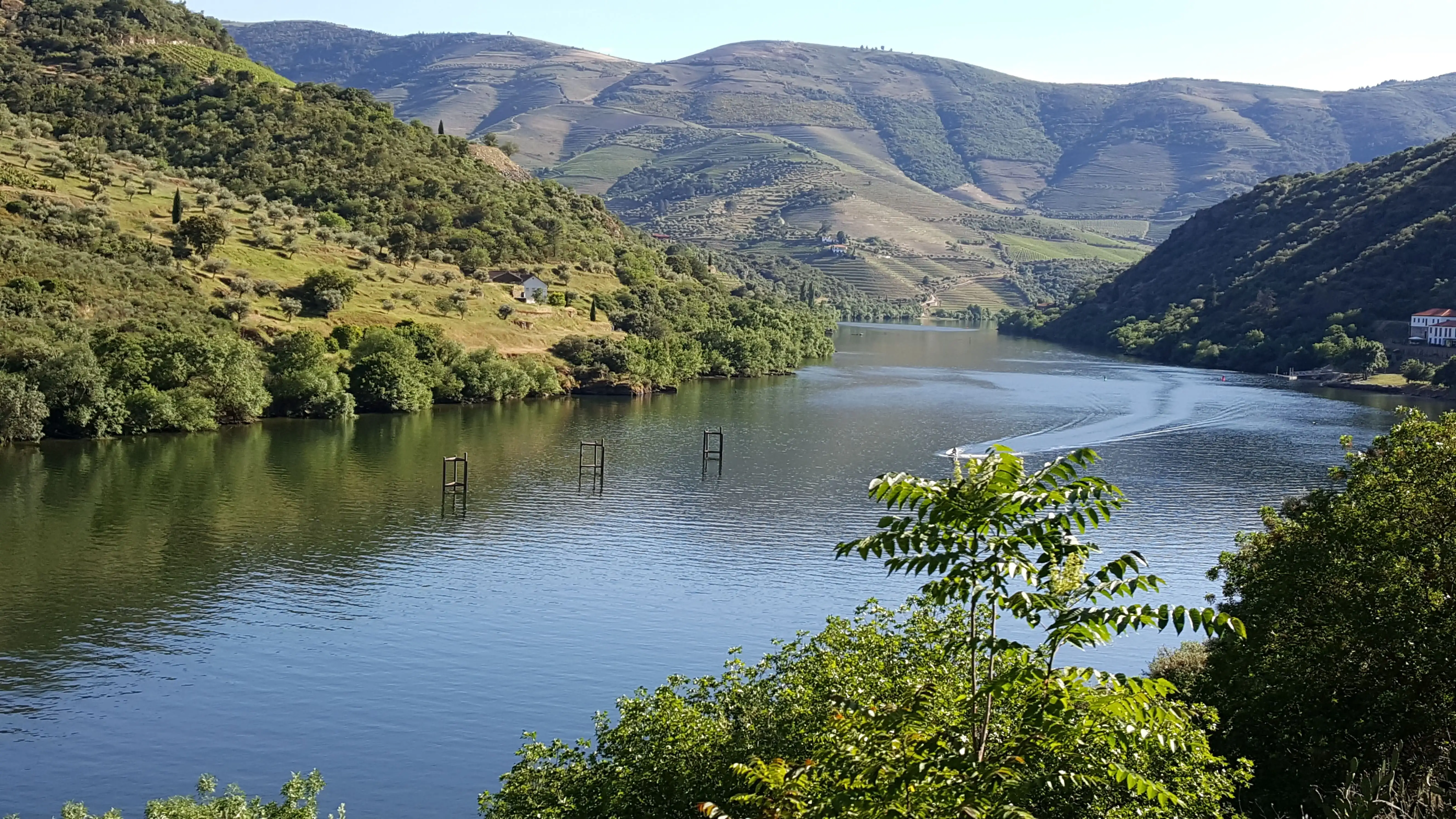 Paisagem do rio Douro entre encostas e vegetação