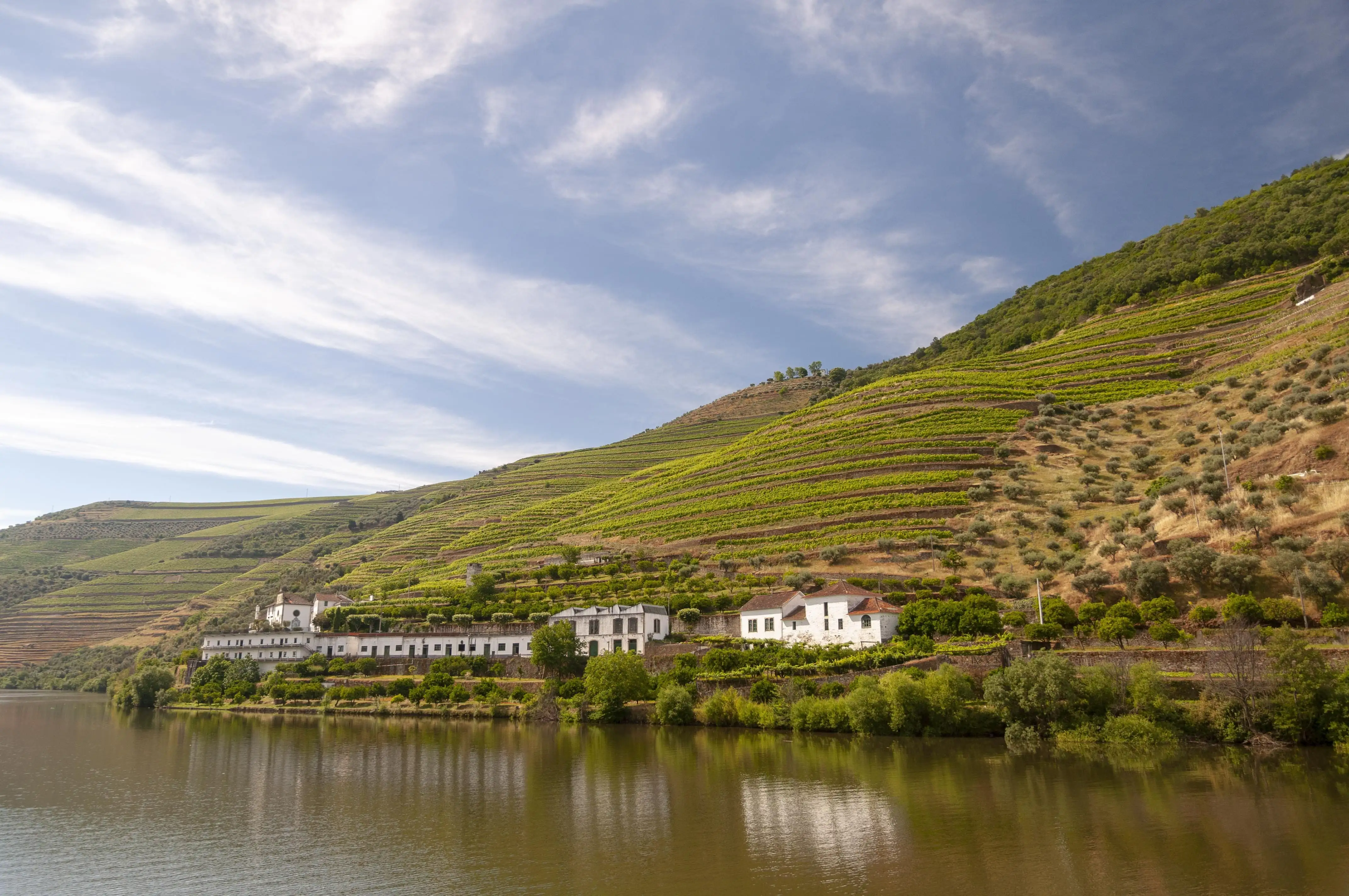 Vinhas e socalcos nas encostas do Douro